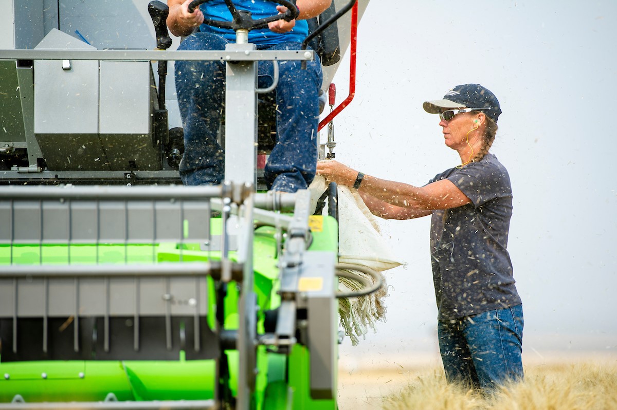 farm equipment and workers