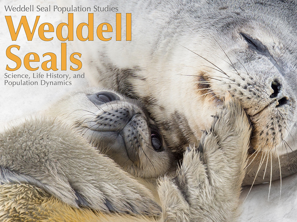 weddell seals book cover