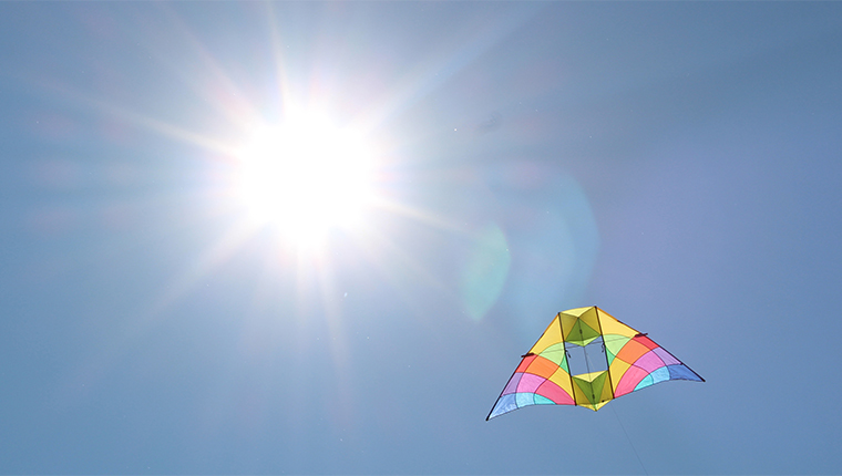 Kite in the sky