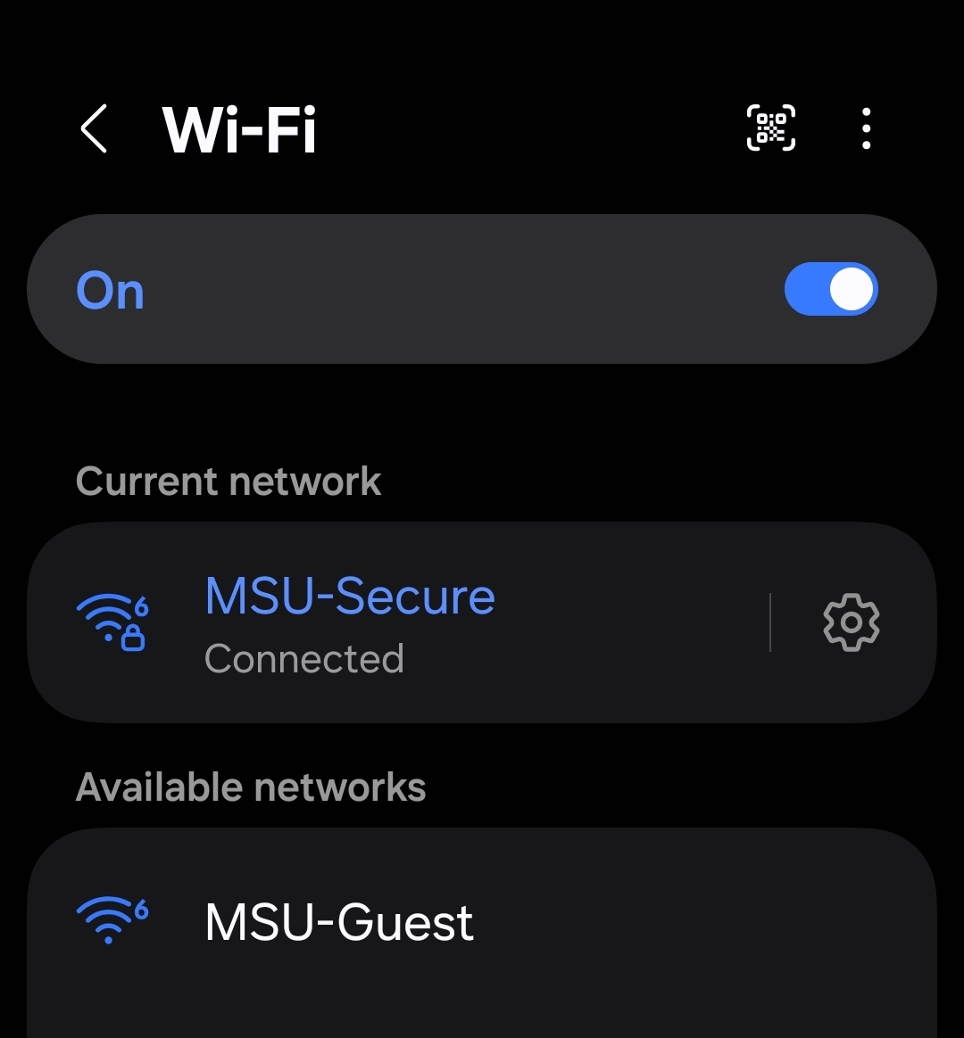 MSU-Secure successful connection page